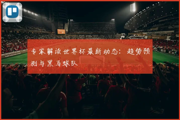 专家解读世界杯最新动态：趋势预测与黑马球队