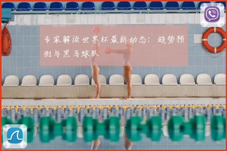 专家解读世界杯最新动态：趋势预测与黑马球队