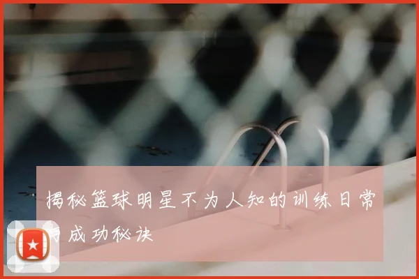 揭秘篮球明星不为人知的训练日常与成功秘诀