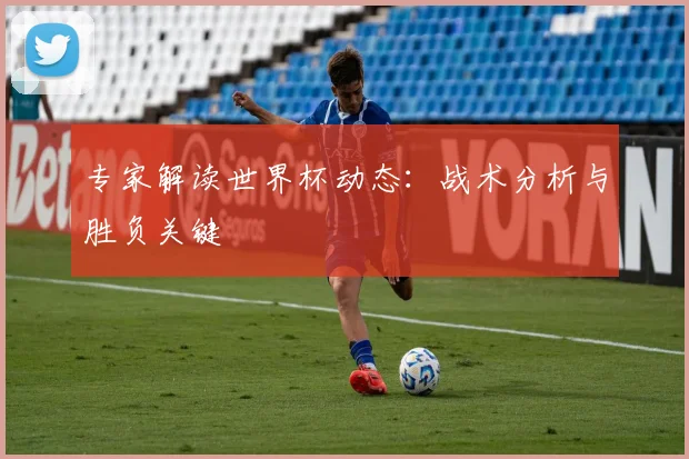 专家解读世界杯动态：战术分析与胜负关键